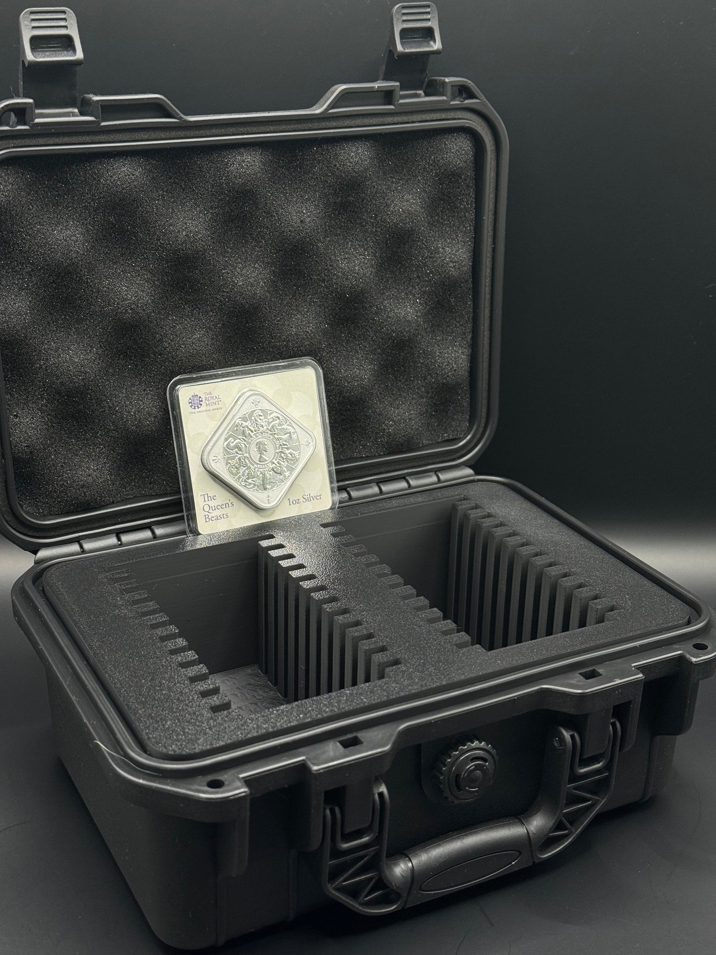 24 Slot Royal Mint Square TEP Case