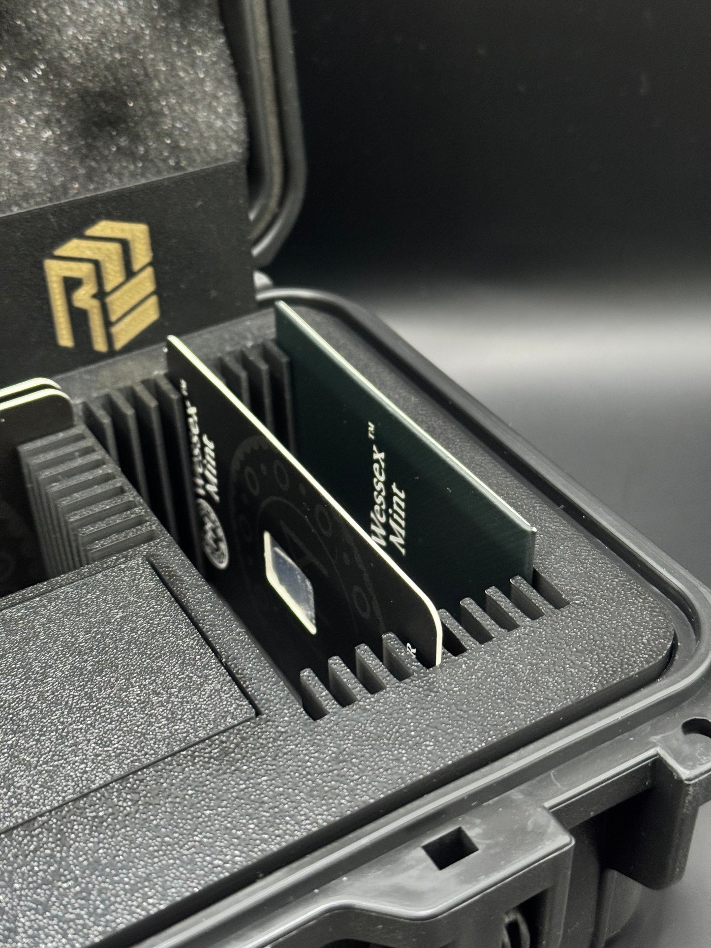 Wessex Style Combo Storage Case