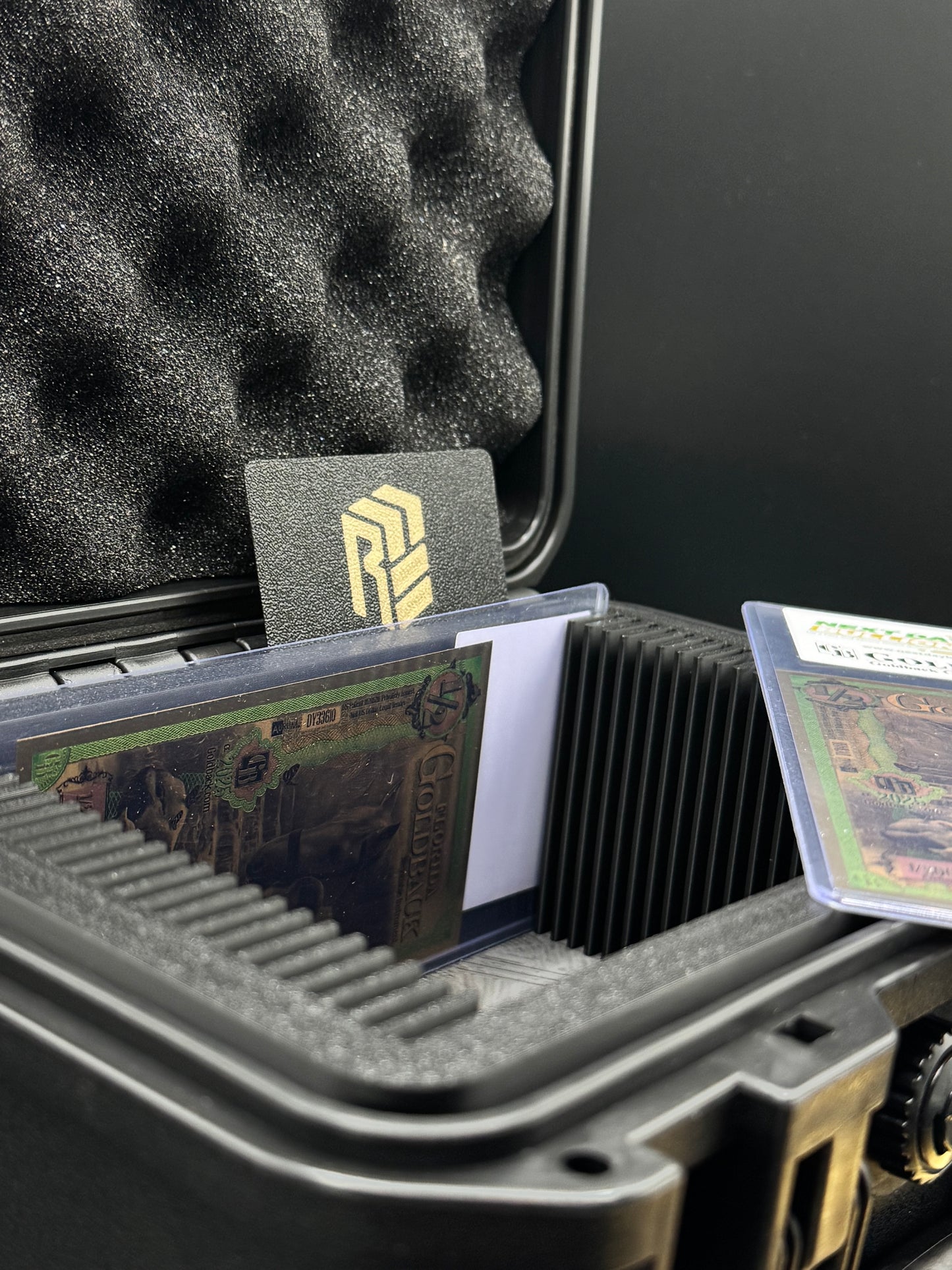 25 Slot Goldback Storage Case